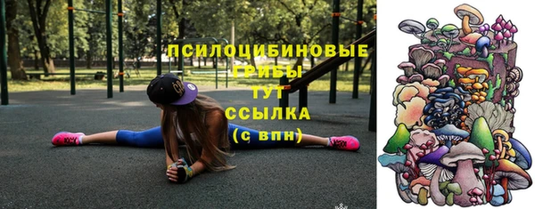 прущая мука Армянск