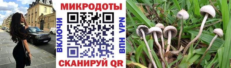ОМГ ОМГ Узловая Галлюциногенные грибы Cubensis